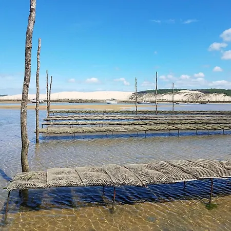 A : A 50m, Terrasse, Parking, Wifi, 4 Pers * Arcachon