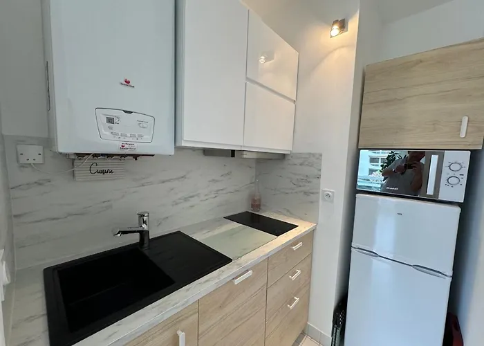 A : A 50m, Terrasse, Parking, Wifi, 4 Pers - Fr-1-474-266