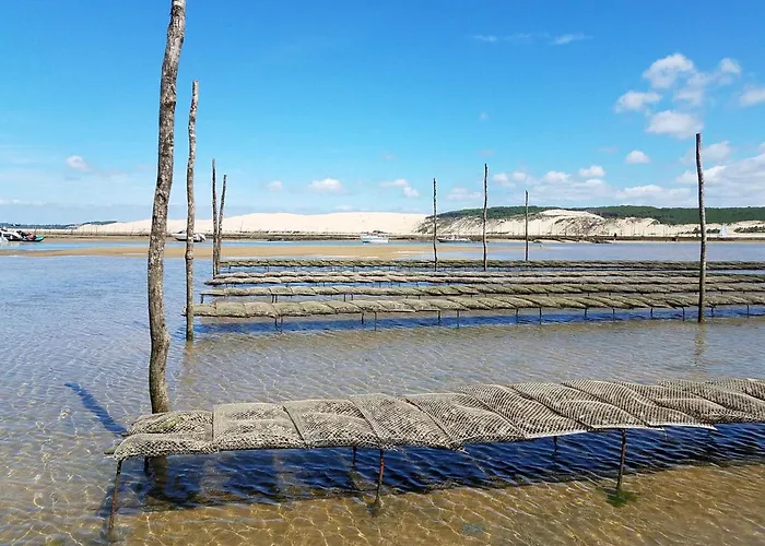 A : A 50m, Terrasse, Parking, Wifi, 4 Pers - Fr-1-474-266 * ארסשון